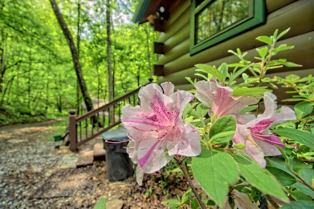 Вилла Tree Song Mountain Creek Cabin Эллиджей Экстерьер фото